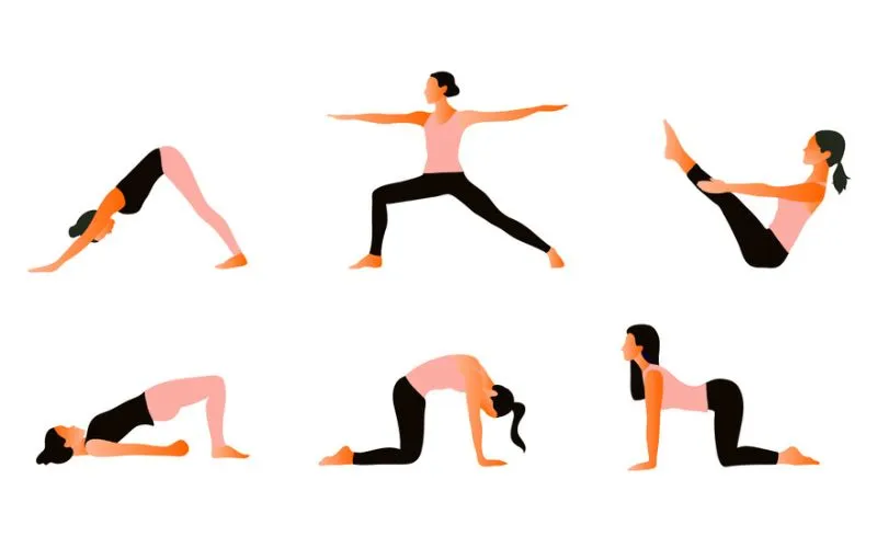 Role of Exercise in Bladder Health
