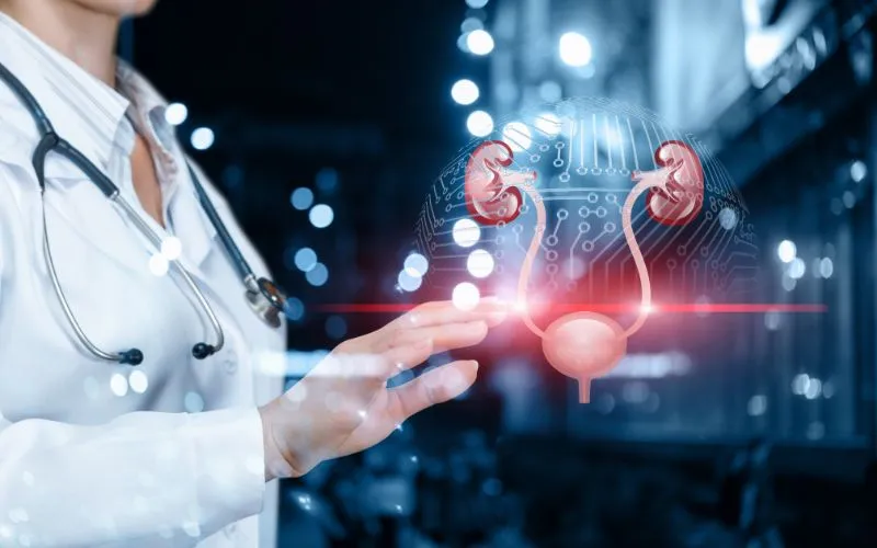 Innovations in Bladder Scanning Technologies